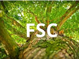 FSC-zertifiziertes Holz: Was steckt hinter dem Siegel?